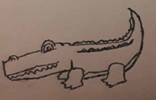 Dessin d'un crocodile