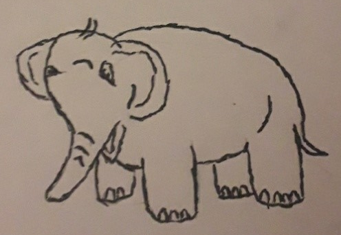 Dessin d'un éléphant