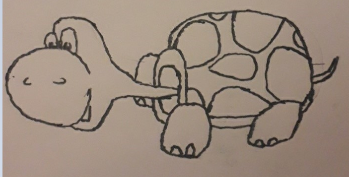 Dessin d'une tortue